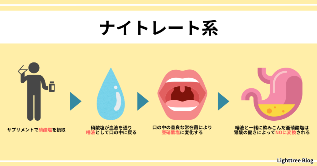 【ナイトレート系】サプリメントで硝酸塩を摂取→硝酸塩が血液を通り唾液として口の中に戻る→口の中の善良な常在菌により亜硝酸塩に変化する→唾液と一緒に飲みこんだ亜硝酸塩は胃酸の働きによってNOに変換される