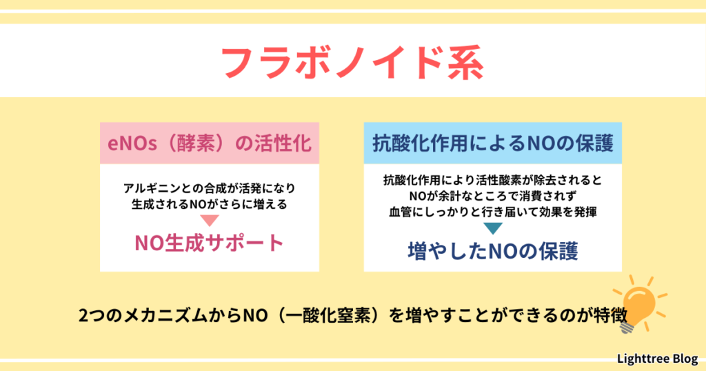 【フラボノイド系】eNOs（酵素）の活性化…アルギニンとの合成が活発になり生成されるNOがさらに増える→NO生成サポート
抗酸化作用によるNOの保護…抗酸化作用により活性酸素が除去されるとNOが余計なところで消費されず血管にしっかりと行き届いて効果を発揮→増やしたNOの保護
2つのメカニズムからNO（一酸化窒素）を増やすことができるのが特徴