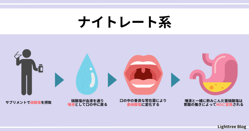 【ナイトレート系】サプリメントで硝酸塩を摂取→硝酸塩が血液を通り唾液として口の中に戻る→口の中の善良な常在菌により亜硝酸塩に変化する→唾液と一緒に飲みこんだ亜硝酸塩は胃酸の働きによってNOに変換される