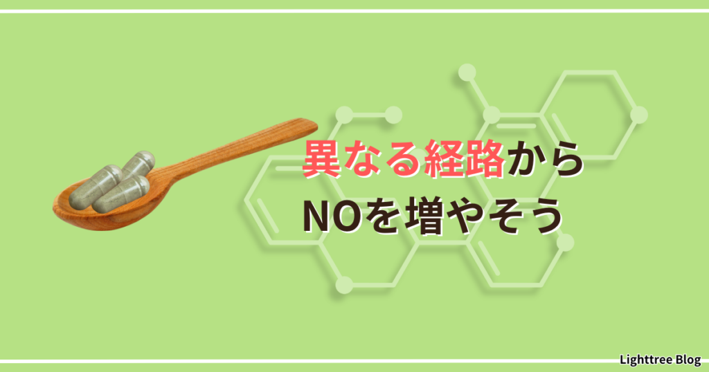 異なる経路からNOを増やそう