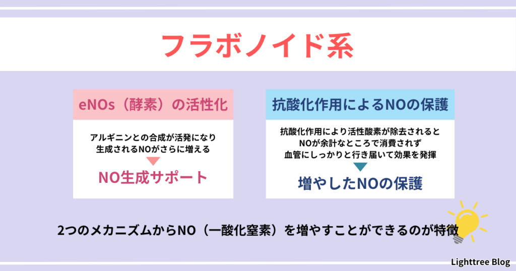 【フラボノイド系】eNOs（酵素）の活性化…アルギニンとの合成が活発になり生成されるNOがさらに増える→NO生成サポート
抗酸化作用によるNOの保護…抗酸化作用により活性酸素が除去されるとNOが余計なところで消費されず血管にしっかりと行き届いて効果を発揮→増やしたNOの保護
2つのメカニズムからNO（一酸化窒素）を増やすことができるのが特徴