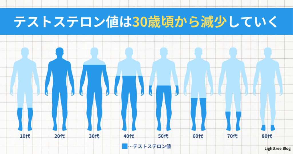 知らないとマズイ！？テストステロン値は30歳頃から減少していく