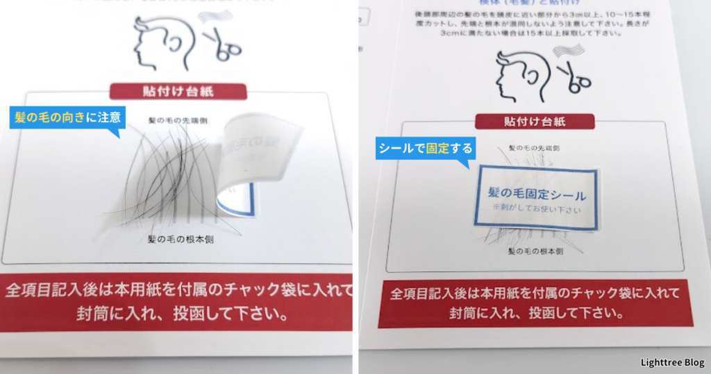 髪の毛の向きに注意して「髪の毛固定シール」で固定する