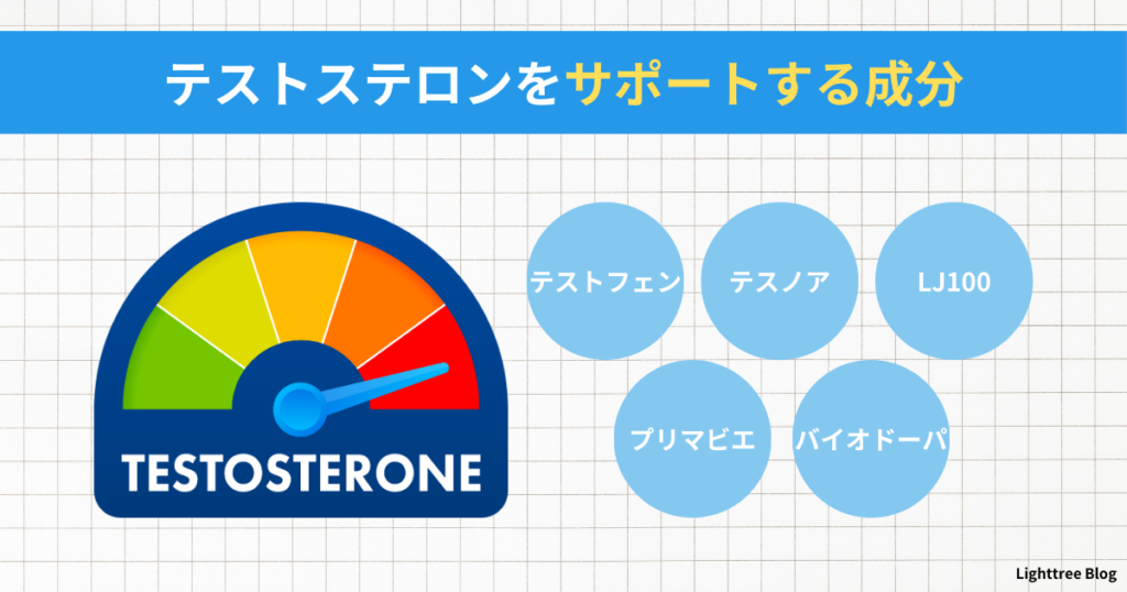 【テストステロンをサポートする成分】テストフェン・テスノア・LJ100・プリマビエ・バイオドーパ